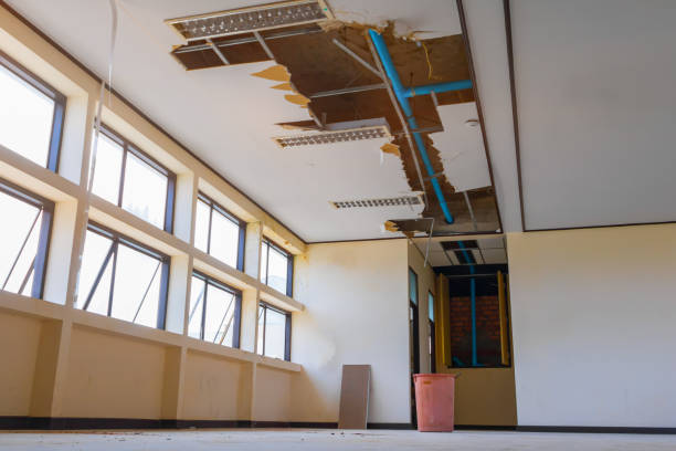 Trusted Water Damage Restoration in Newhall, IA | Fast, Reliable, and Ready to Assist You